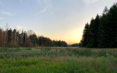 Freizeit-Tipps rund um Hohentengen